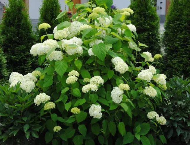 Διαμέρισμα Christian Mayrhofen